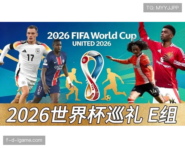 世界杯E组头名归属预测